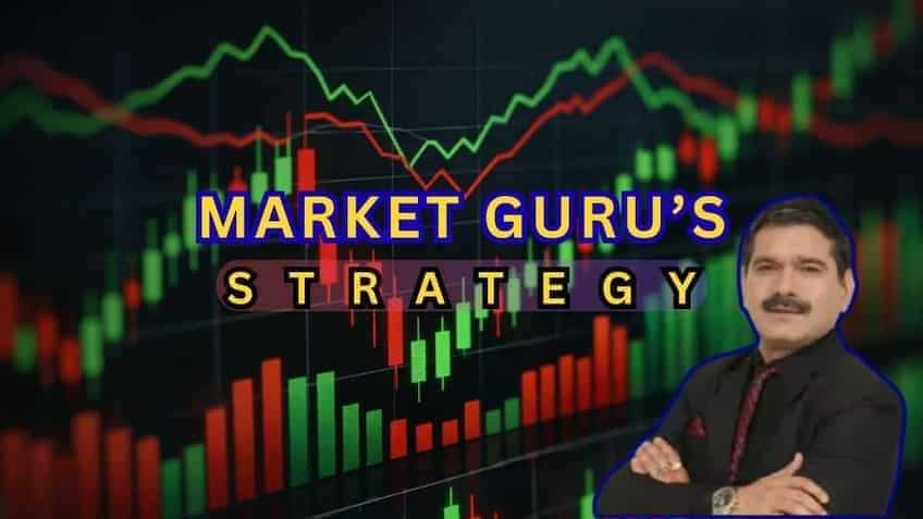 Anil Singhvi Market Strategy: Nifty50 strong buy zone at 24,000-24,100, profit-booking area at 24,600-24,700