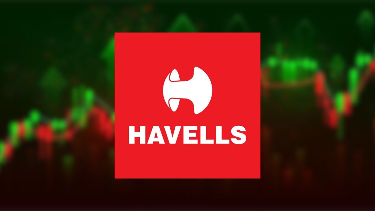 Havells India Q4 Preview: Margin pressure, weak demand may hit profit; final dividend in focus