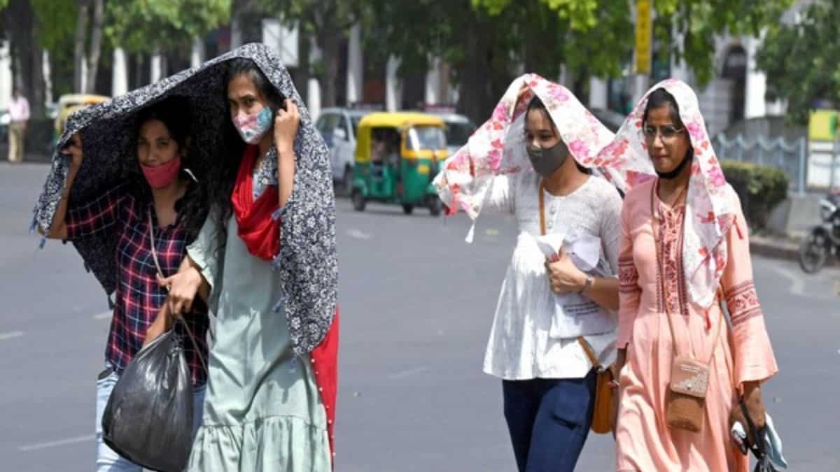 IMD issues heatwave alert: Intense heat to persist across Punjab, Haryana and Uttar Pradesh for next 3 days