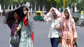 IMD issues heatwave alert: Intense heat to persist across Punjab, Haryana and Uttar Pradesh for next 3 days