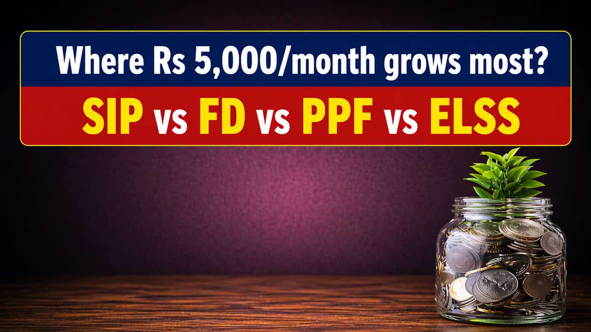 SIP vs FD vs PPF vs ELSS: Where Rs 5,000/month grows most in 15 years?