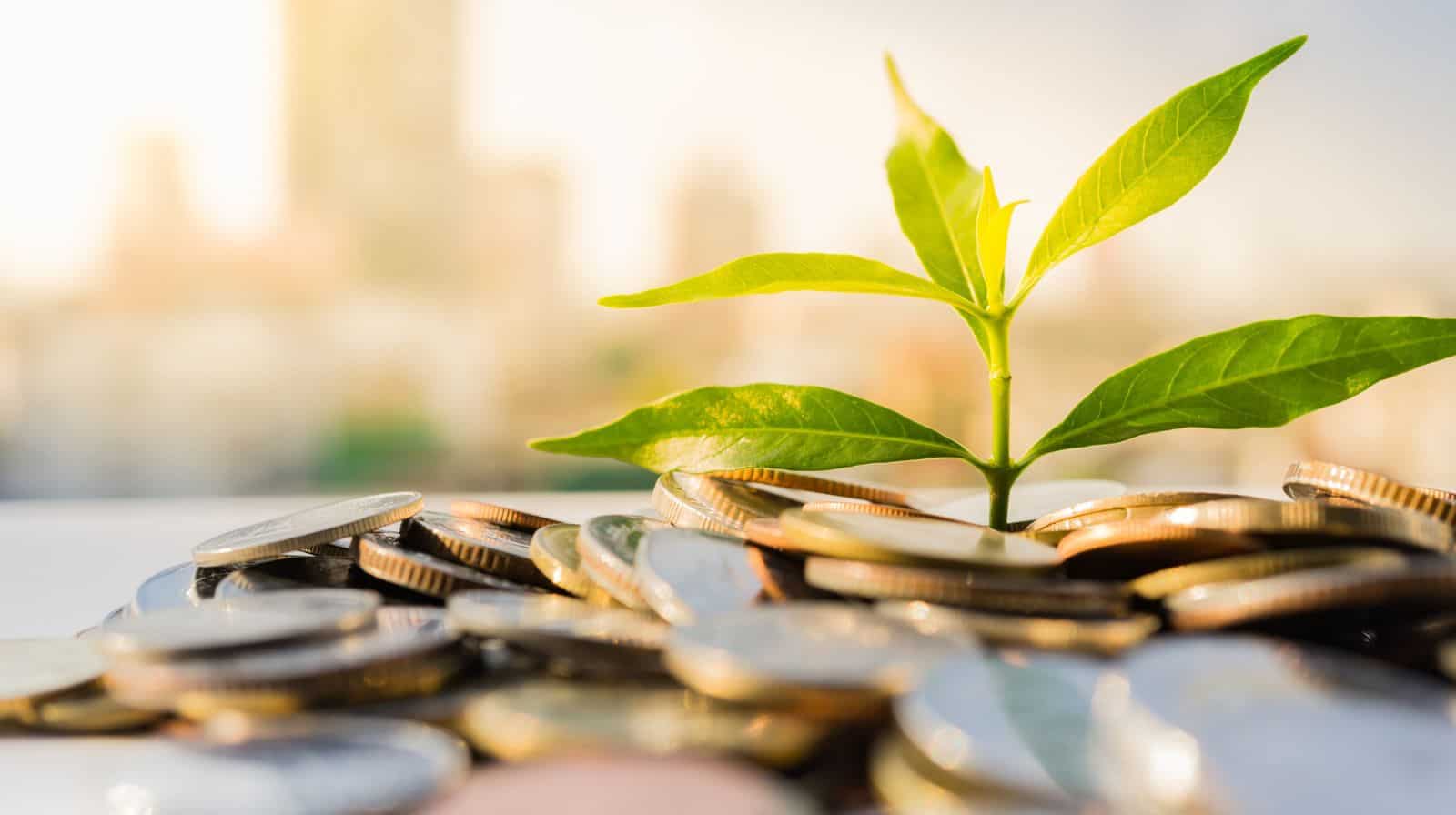 HSBC Midcap Fund