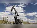 Gulf oil output can rebound in months after