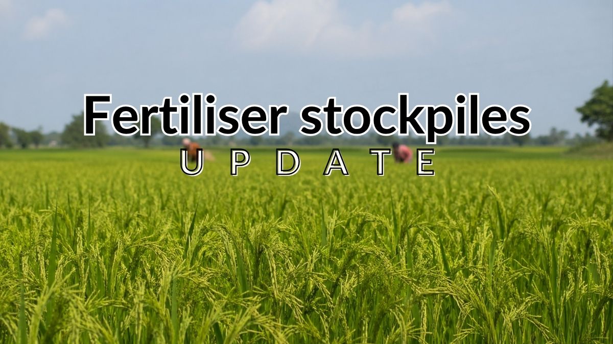 Centre assures ample fertiliser stocks at onset of kharif season; rates steady