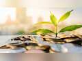 Quant Flexi Cap Fund