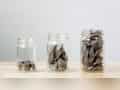 HSBC Flexi Cap Fund