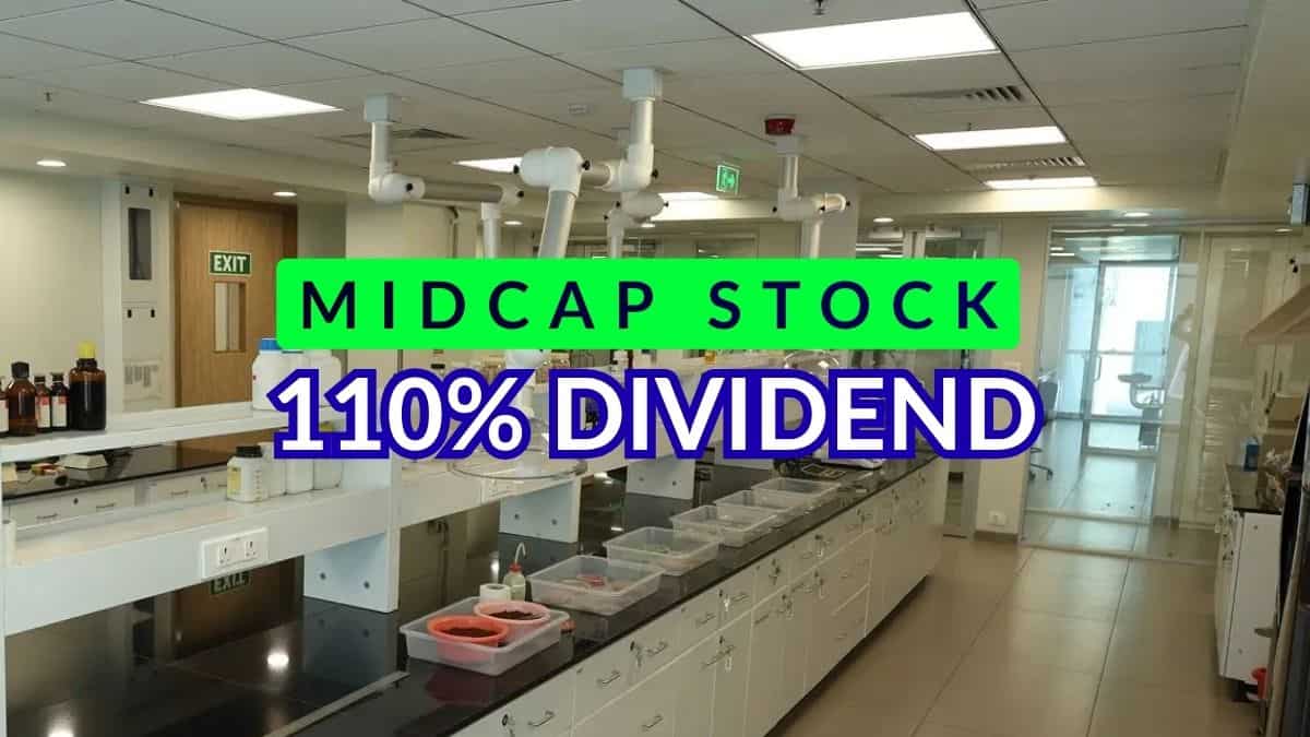110% Dividend! Midcap agribusiness firm declares Rs 11/share payout—Have it in portfolio?
