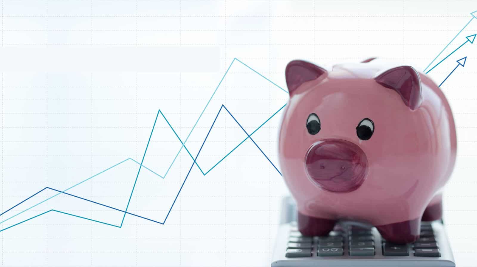 What is diversification?