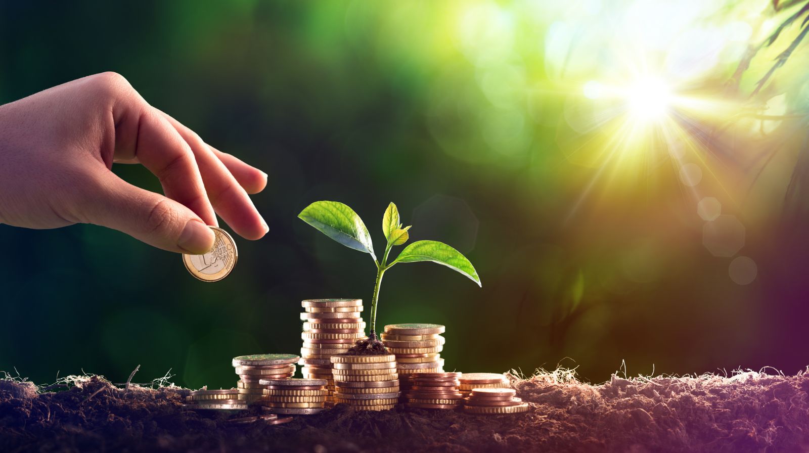 What is liquidity? What is liquidity?