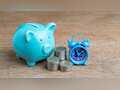 One-time investment in mutual fund