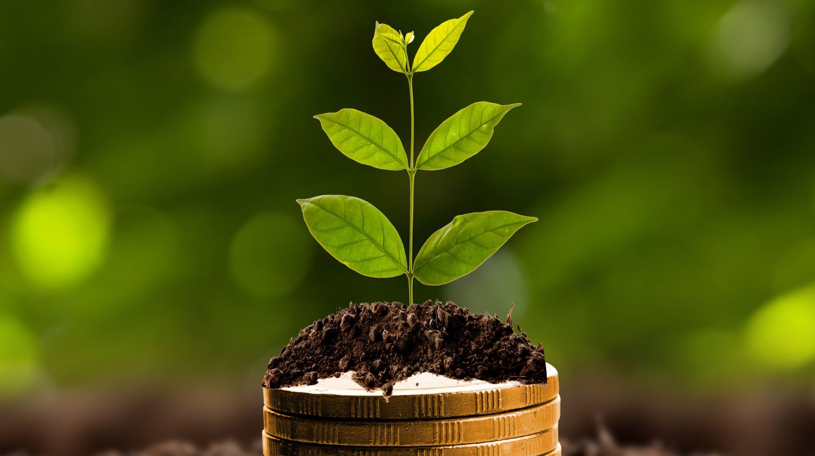 Rs 8,88,888 One-time Investment in Mutual Fund: Calculating average capital gains Rs 8,88,888 One-time Investment in Mutual Fund: Calculating average capital gains