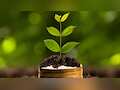 Rs 8,88,888 One-time Investment in Mutual Fund: Calculating average capital gains