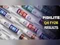 Pidilite Q4 Results: PAT jumps 37% to Rs