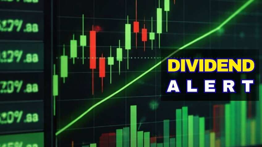 Balkrishna Dividend: Largecap auto ancillary firm declares 200% payout—Have it in portfolio?