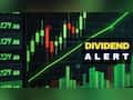 Balkrishna Dividend: Largecap auto ancillary firm declares 200%