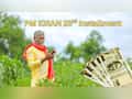 PM-KISAN 23rd Instalment: 5 common mistakes that can