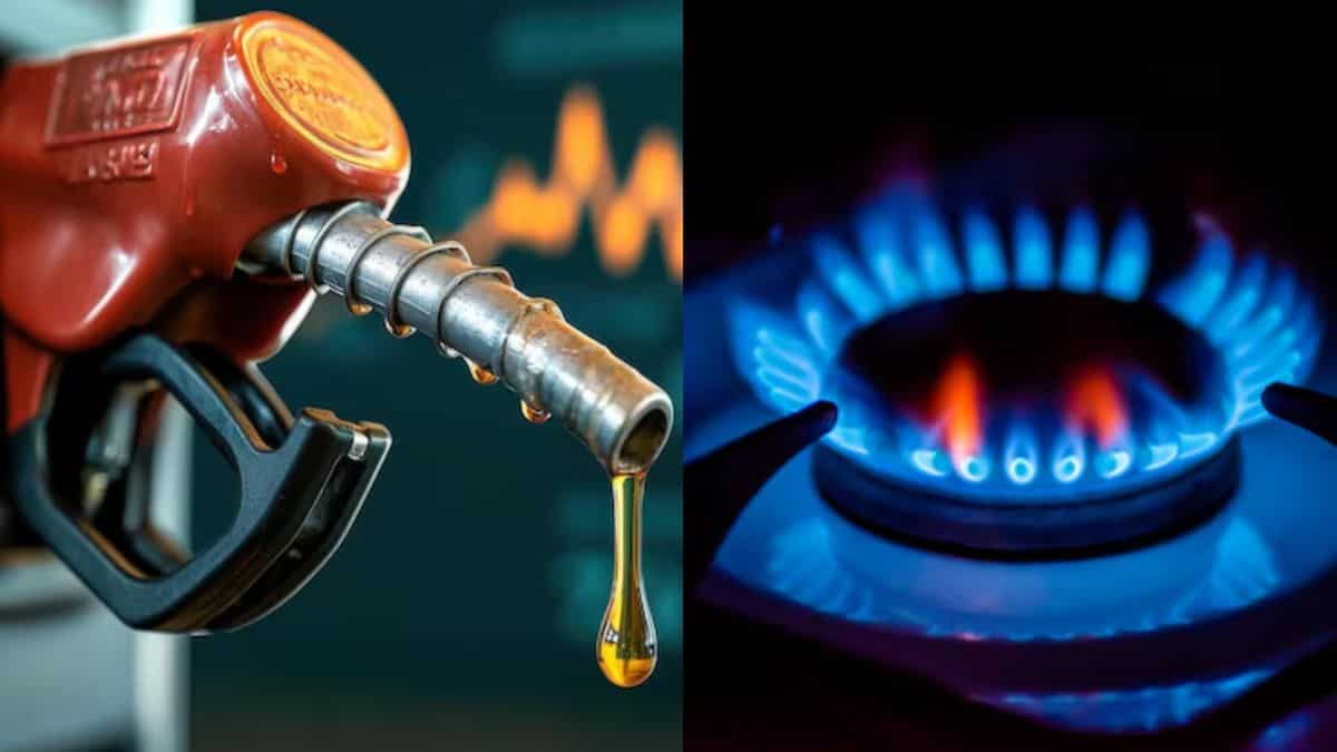 How long can India withstand, even if Oil and LPG supplies stop? Govt answers