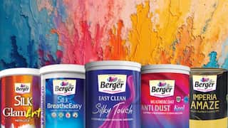 Berger Paints Q4 Results: Net profit up 27.5%, revenue rises 6%; declares 400% dividend 