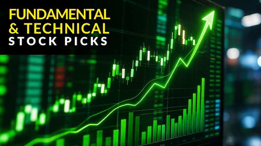 Fundamental and Technical Picks: How to trade Berger Paints, DMart, Pidilite, ONGC, HZL, other buzzing stocks