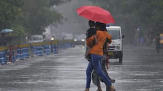 Monsoon set to reach Andamans by May 16; Delhi-NCR braces for rain before heatwave returns: IMD