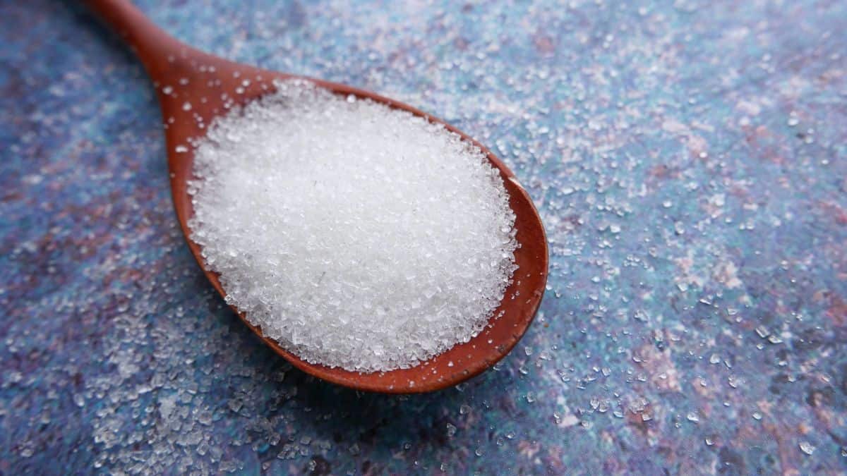 Balrampur Chini, Shree Renuka to Bajaj Hindusthan: Sugar stocks in focus after export ban