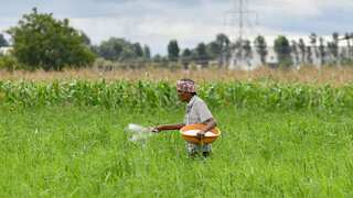 Exclusive: ‘Operation Kisan’ finds subsidised urea meant for farmers allegedly diverted to plywood, glue factories