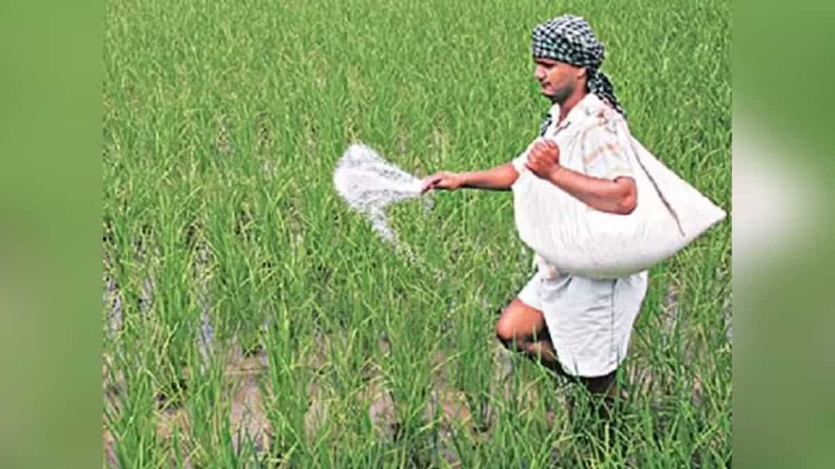 GNFC Q4 Results: Gujarat Narmada Valley Fertilizers and Chemical profit jumps 88% to Rs 396 crore, announces Rs 21 dividend