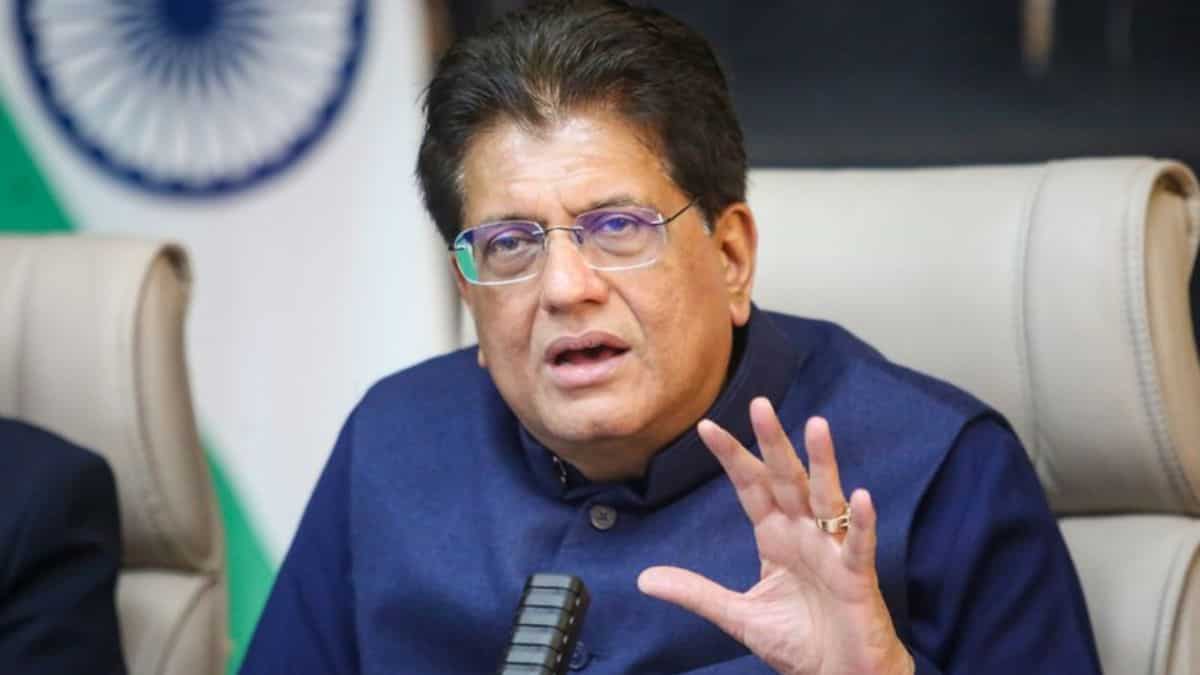 Piyush Goyal pushes for 'swadeshi' and 'Atmanirbhar Bharat' at Vyapar Mela portal launch 