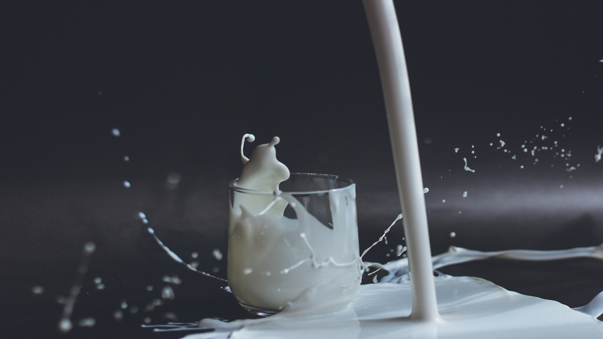Milma milk price hike: Kerala cooperative raises rates by Rs 4 per litre from June 1