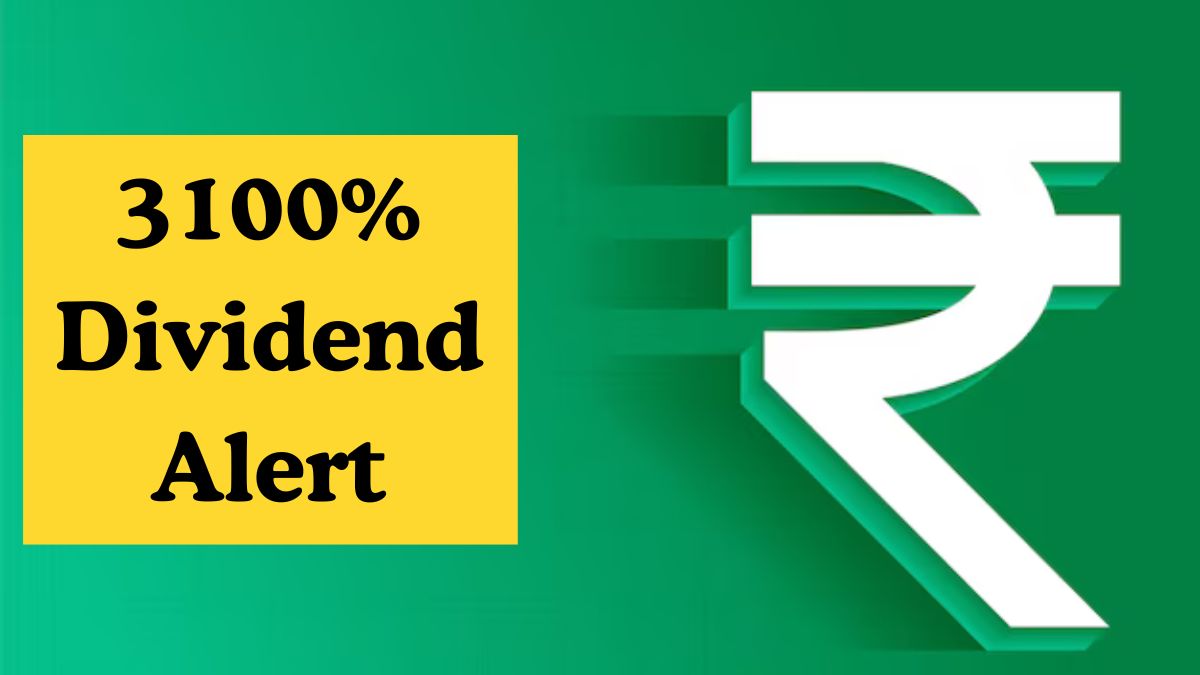 3100% Dividend Alert: IT firm to give cash reward; ex-date on May 25