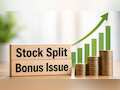 1:5 Stock Split, 1:2 Bonus Issue: This small-cap