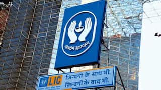 Over Rs 300 crore wiped out in two sessions: Inside the Rajesh Exports controversy and LIC's big stake