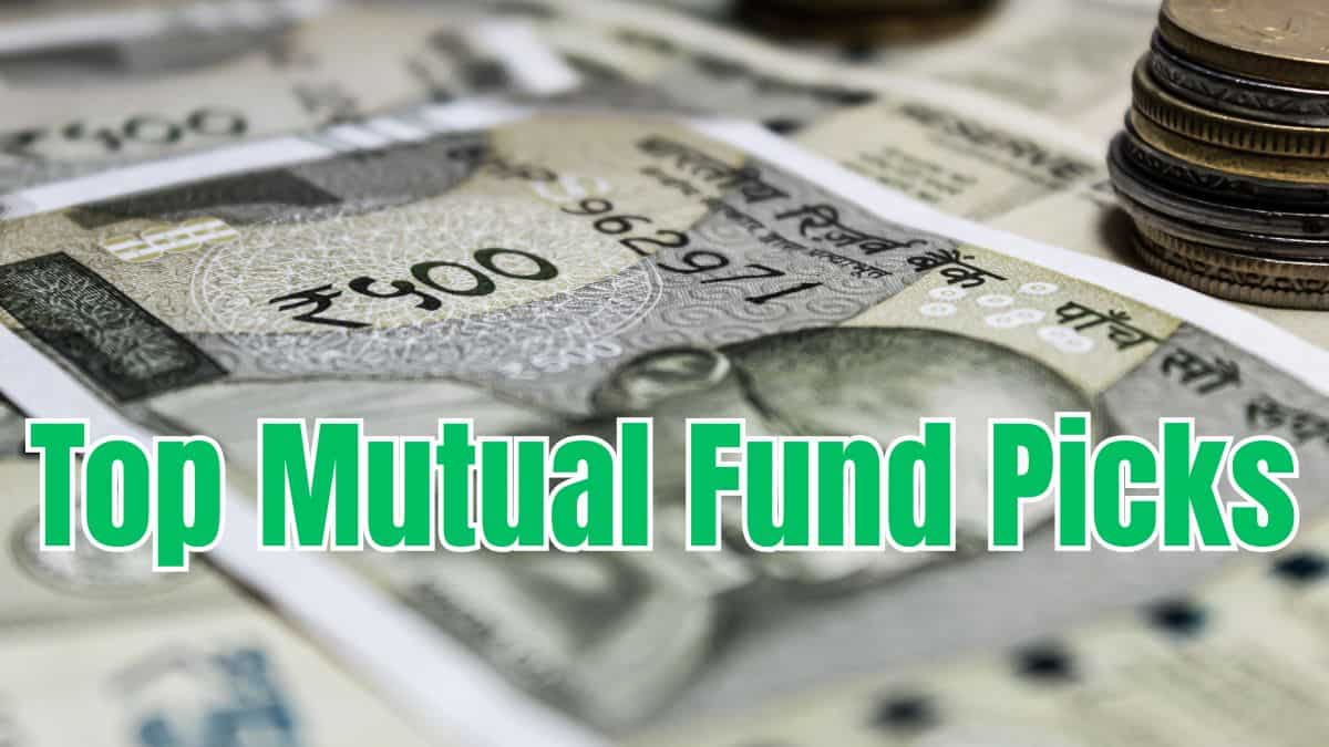 Small-cap funds or Gold ETFs? Anil Singhvi shares his top mutual fund picks for investors