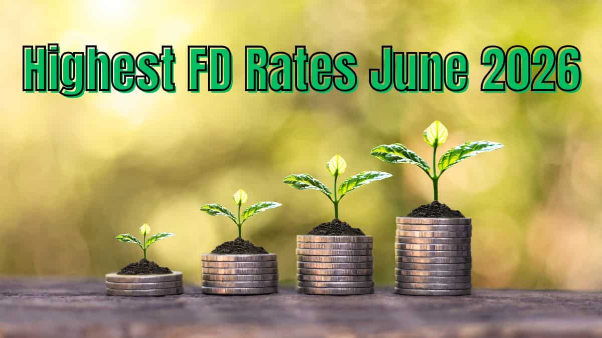 Which bank FD interest rate is highest? SBI, HDFC, ICICI, PNB, BoB and Axis Bank compared