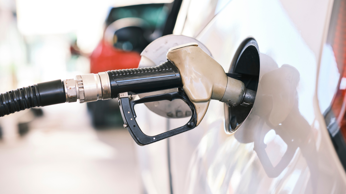 BPCL debunks viral E20 petrol claims, says ant attraction theory lacks 'scientific basis'