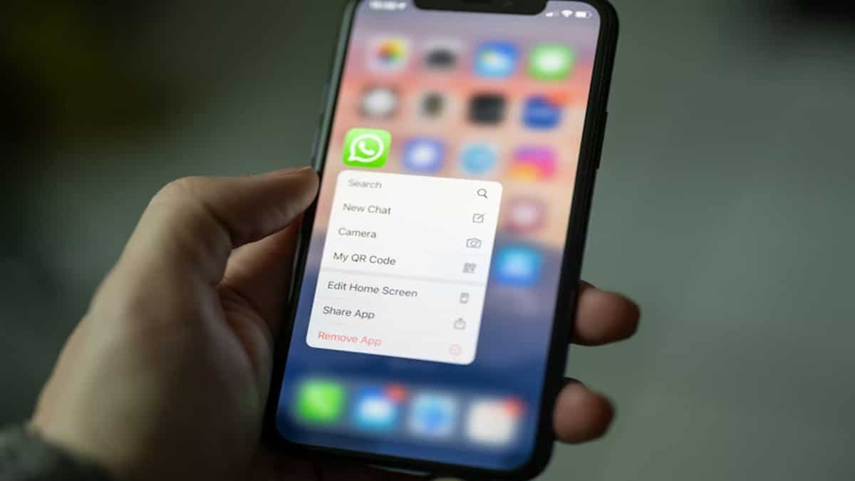 Govt puts WhatsApp 'Usernames' rollout on hold in India; seeks explanation from Meta