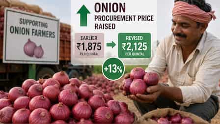 Government Raises Onion Procurement Price to Rs 2,125 per Quintal
