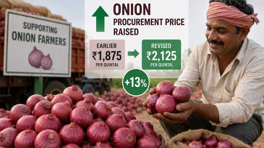 Government raises onion procurement price by 13% to Rs 2,125 per quintal to support farmers