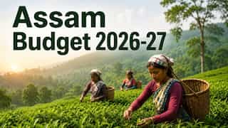 Assam Budget 2026-27: BJP government proposes VAT cut on piped natural gas; to raise agricultural income tax exemption threshold