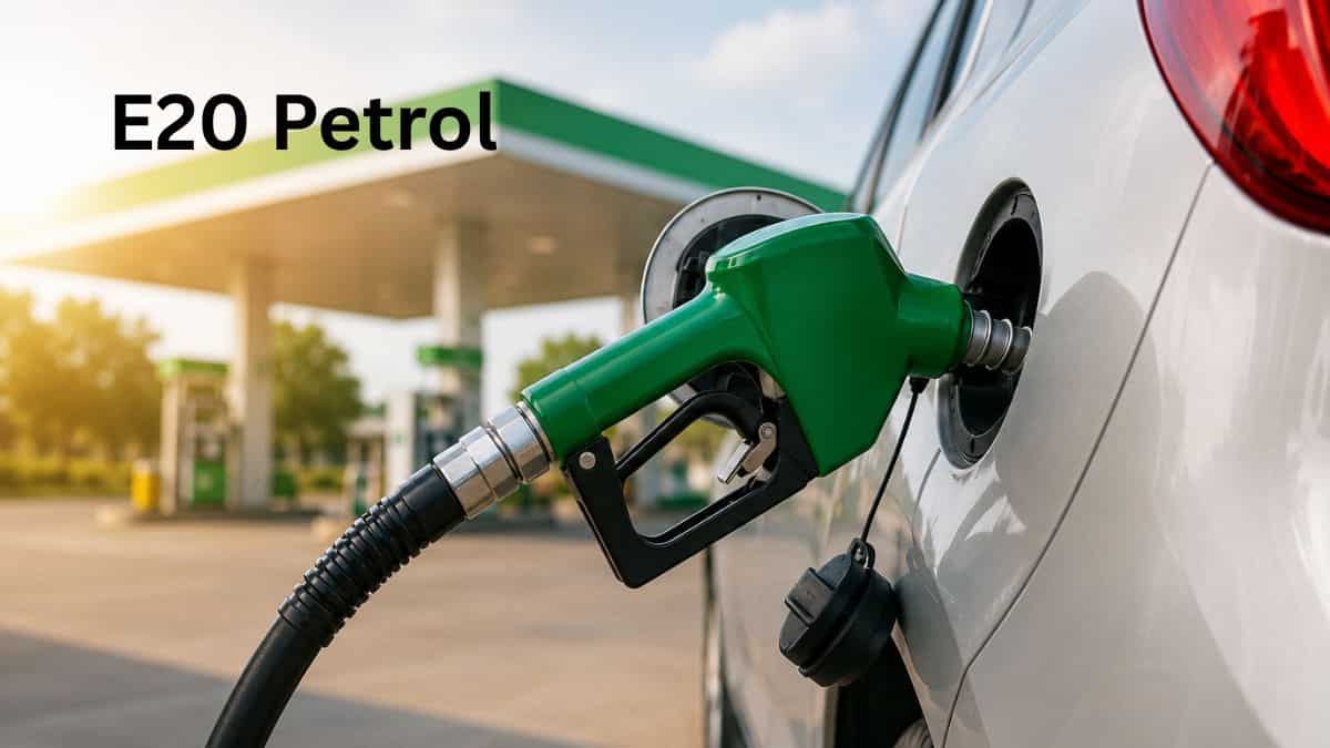 E20 Petrol: No plan to raise ethanol blending above 20% for now, says  government