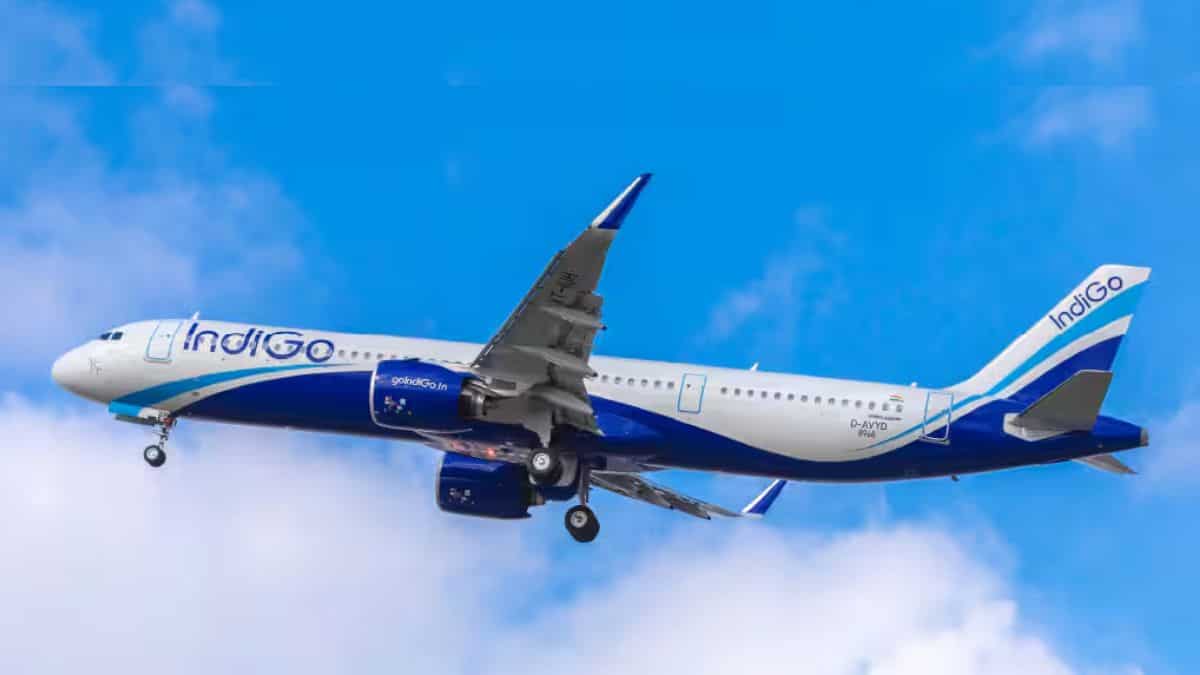 IndiGo Share Price: Why are Jefferies, Goldman Sachs, Citi and others still bullish despite Q1 loss?