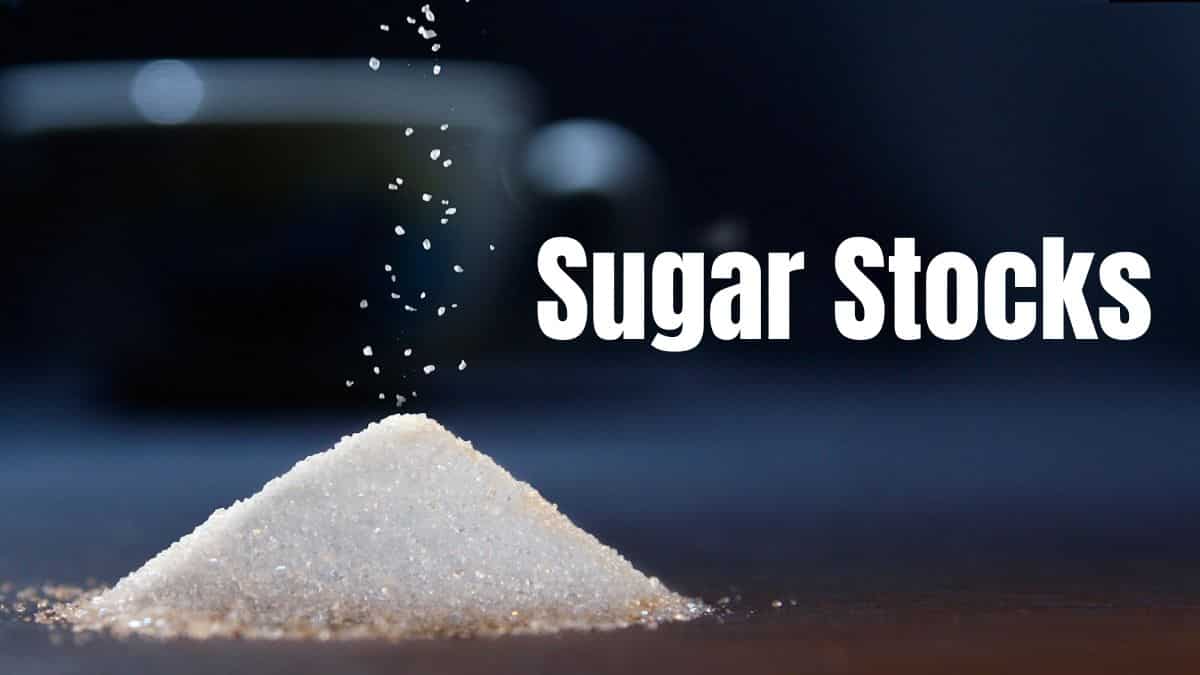 Sugar Stocks: Balrampur Chini, EID Parry, Dalmia Bharat soar up to 10% -- Which share should you buy?