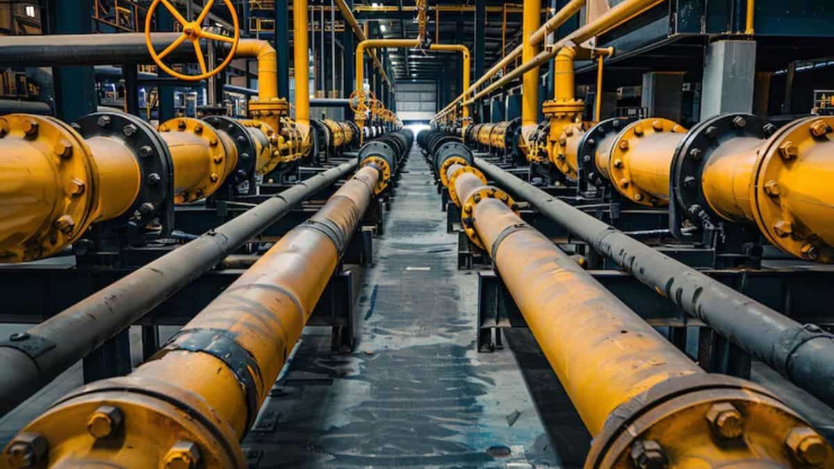 PNGRB revises fee rules for gas, petroleum sector; civil penalty of up to Rs 1 crore for each violation