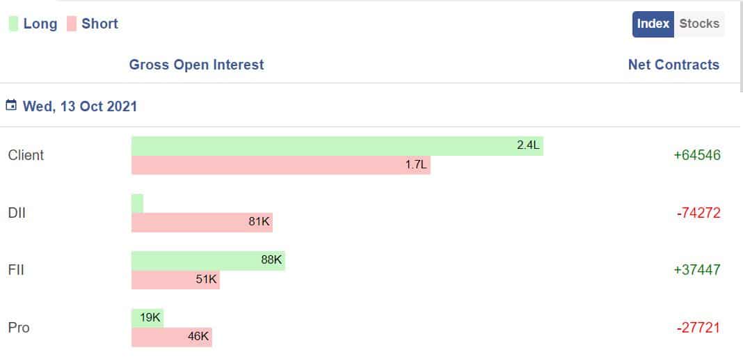 38533 essay 06 image