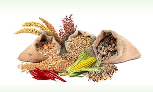 Commodity Ki Class: How important is hedging for Agri market?