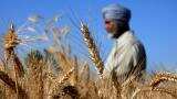 ''La Nina' to boost India's consumption, GDP growth'