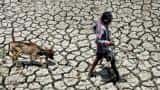 Supreme Court slams authorities over ''ostrich-like'' attitude to drought Supreme Court slams authorities over ''ostrich-like'' attitude to drought