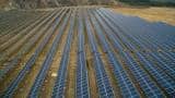 Punjab gets world's biggest rooftop solar plant