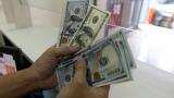 India&#039;s forex reserves down by $970 million