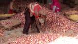 Onion conundrum: Farmers now want Fadnavis to raise prices